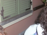 dsci0136_800x598.jpg